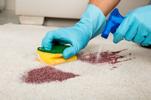 Person Cleaning Carpet - Valokuva, kuva