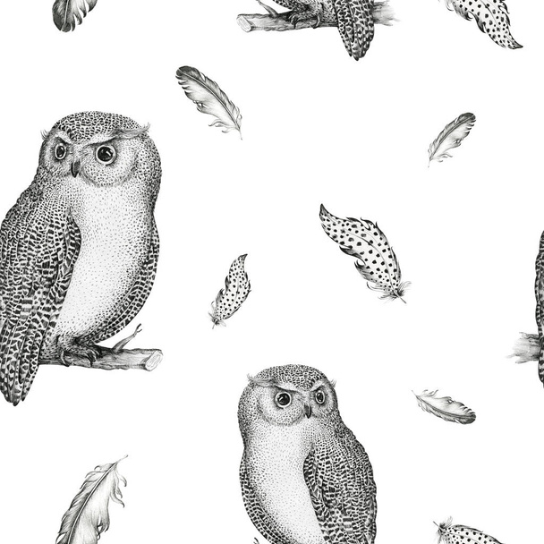 Hand drawn isolated  black white seamless pattern owl fly bird. - Foto, Imagen