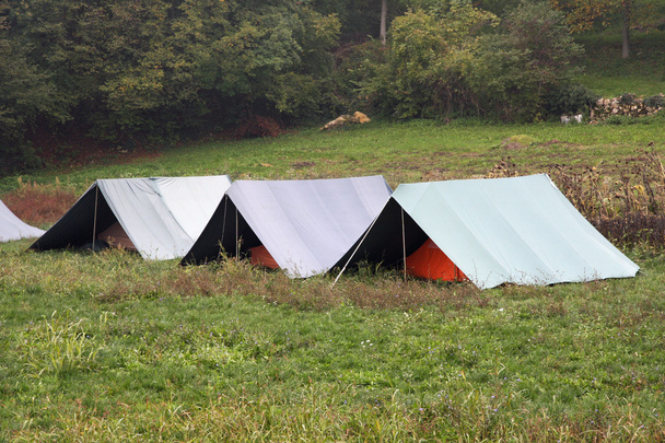 草の上にマウントされているボーイ スカウト テント - 写真・画像