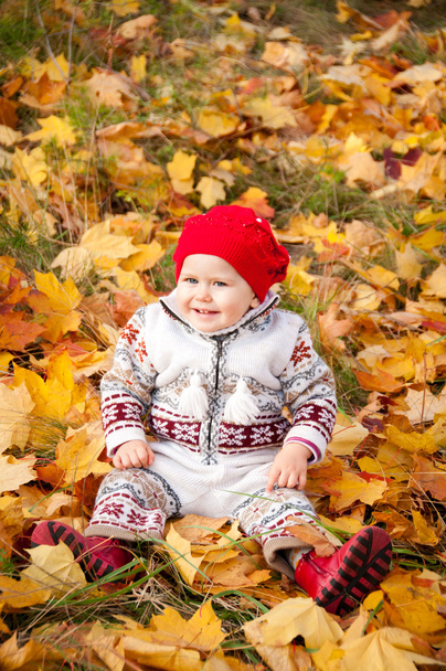 Little cute baby girl on a background of autumn leaves - Foto, Imagen