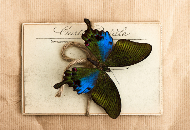 Kaunis perhonen ja vanhat postikortit
 - Valokuva, kuva