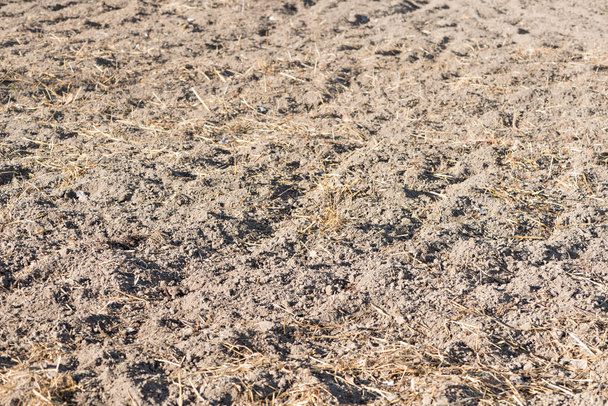 Terreno com fertilizante
 - Foto, Imagem