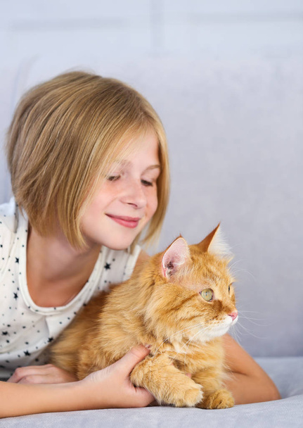 little girl with red fluffy cat  - Foto, Imagem