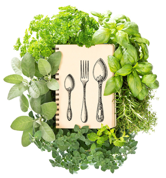 Cookbook with variety fresh herbs - Foto, Bild