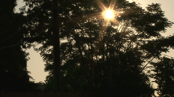 Aurinko paistaa puun oksan siluetin takana lähellä auringonlaskua
. - Materiaali, video