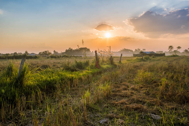 sunset in the countryside with nature grass outdoor - Fotoğraf, Görsel