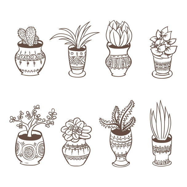 Home plants in pots. Vector line art set - Vector, Image