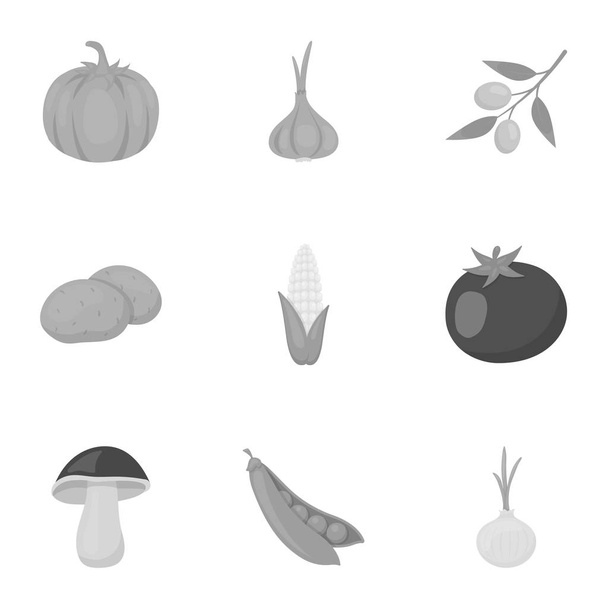 Vegetables set icons in monochrome style. Big collection of vegetables vector symbol stock illustration - Vettoriali, immagini