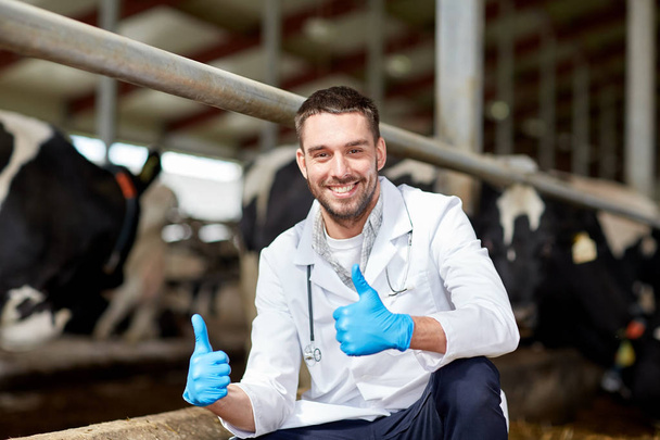 veterinarian and cows in cowshed on dairy farm - Fotoğraf, Görsel