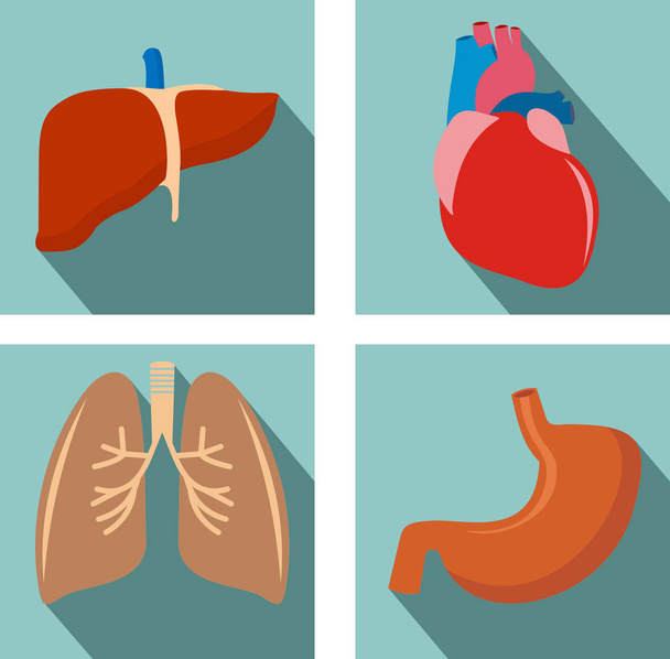 sada orgánů - plíce, játra, srdce, žaludku - Vektor, obrázek