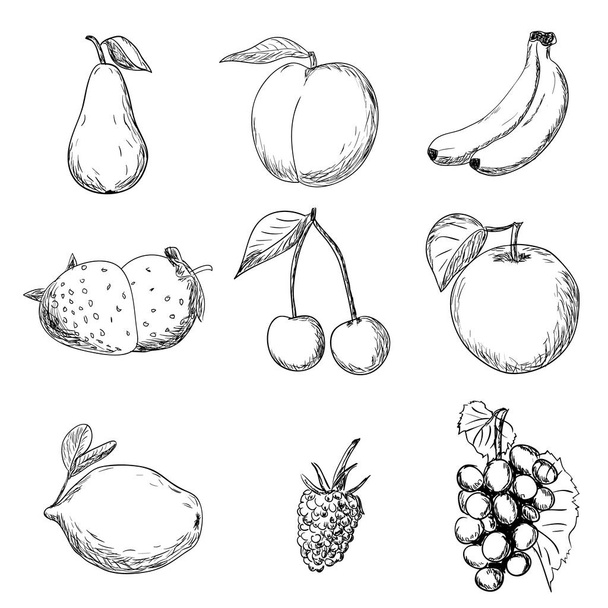 Hand drawn fruits - Vector, imagen