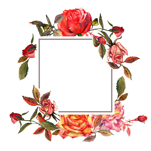 Wildflower rose flower frame in a watercolor style isolated. - Photo, Image