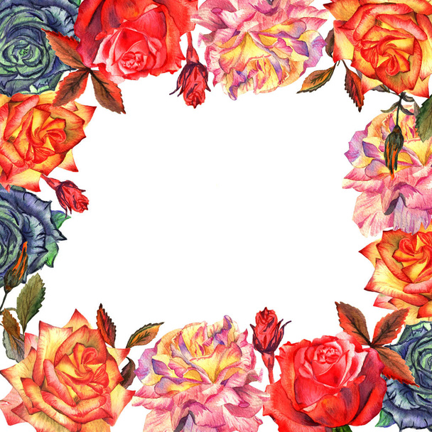 Цветок полевой розы рамка в акварельном стиле изолированы
. - Фото, изображение