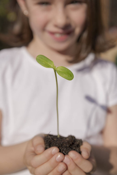 Little girl and young plant of a sunflower - Foto, Imagen