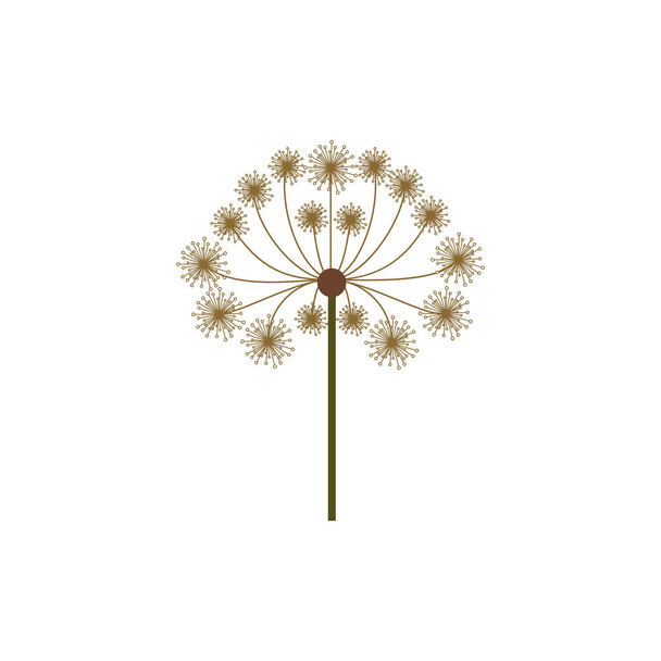 colorful dandelion with stem and pistil - Vector, Image