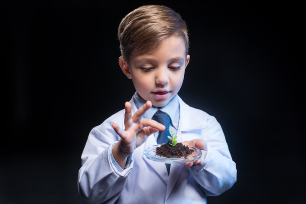 Kis fiú gazdaság növény - Fotó, kép
