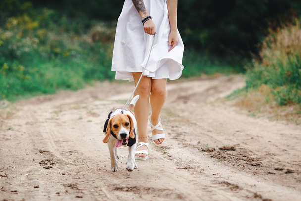 Kaunis tyttö koiran kanssa
 - Valokuva, kuva