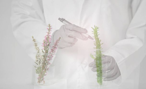 стакан цветок завод ученый в форме ручки и перчатки backgroun
 - Фото, изображение