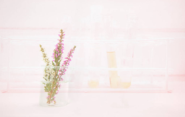 ροζ λουλούδι σε ποτήρι ζέσεως με φόντο δοκιμαστικό σωλήνα - Φωτογραφία, εικόνα