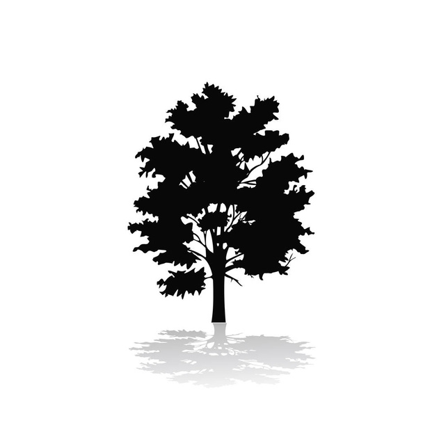 Silhouette eines Baumes mit Schatten - Vektor, Bild