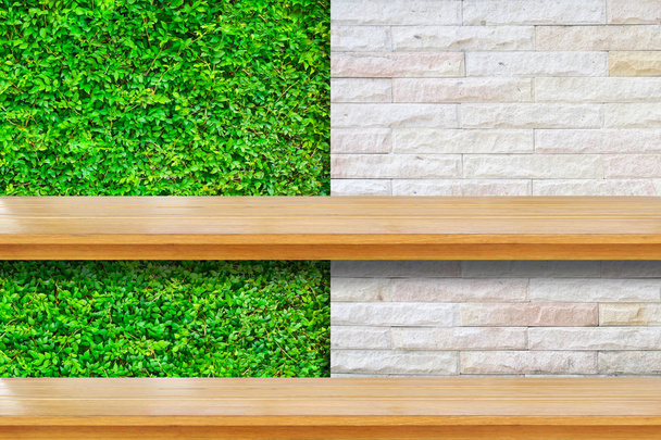 Drewniane półki z świeże rośliny małe zielone i cegły tło  - Zdjęcie, obraz