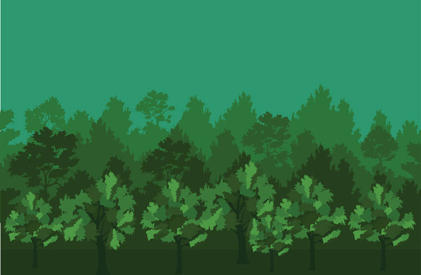 Zöld erdős táj - Vektor, kép