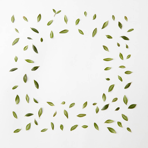 green leaves frame - Photo, image