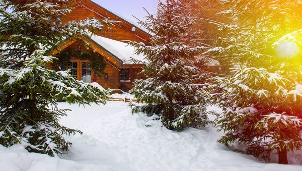  wooden house surrounded by snow-capped trees - Foto, afbeelding