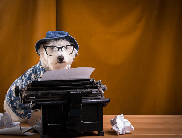 Perro periodista en la máquina de escribir
 - Foto, imagen