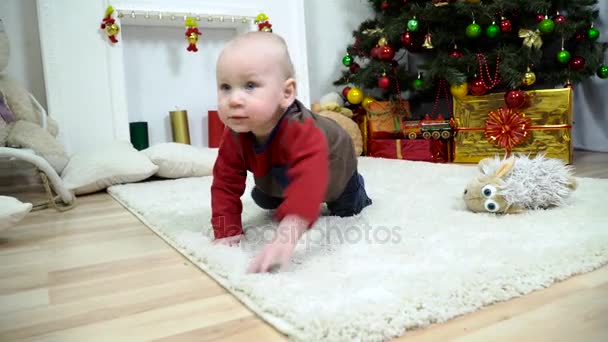 A curious kid near the Christmas tree. - Felvétel, videó