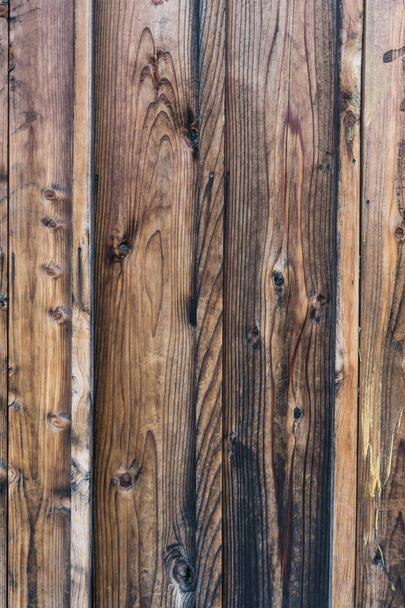 Πεύκο κοντινό στον τοίχο κατασκευασμένο από ξύλινες σανίδες, σκούρο πίνακα - Φωτογραφία, εικόνα