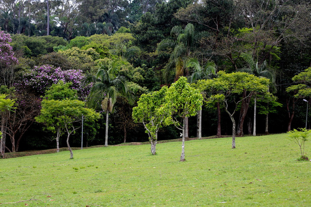 Parque do Carmo, são paulo Brasil
 - Foto, Imagem