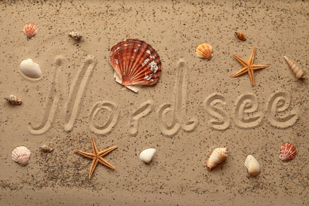 Background image Beach with shells and starfish - Fotoğraf, Görsel