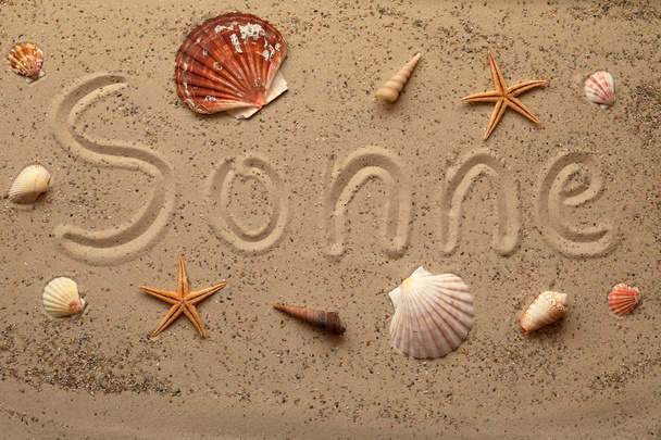 Background image Beach with shells and starfish - Zdjęcie, obraz