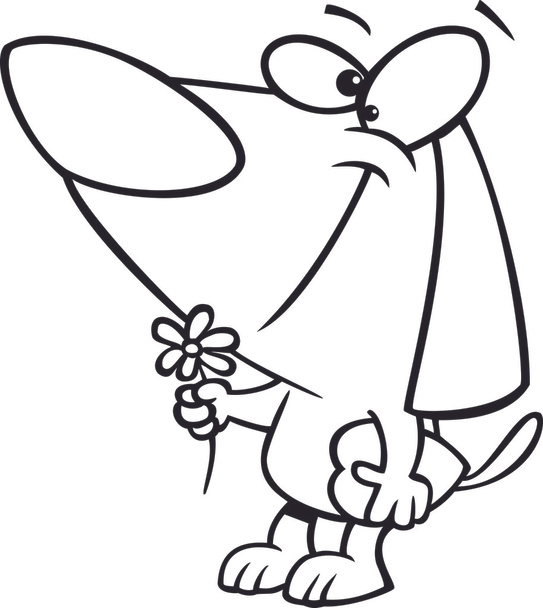 Vector of a Cartoon Black and White Outline Courting Valentines Day Dog with a Flower and Candy Box - Outlined Coloring Page - Vector, Image