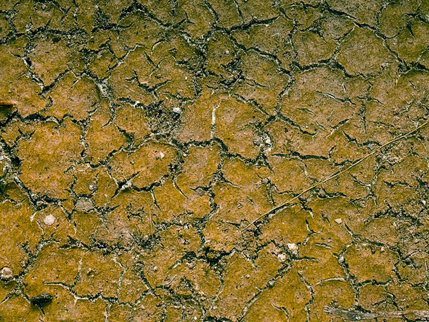 Посушливі, Parched, тріщини землі в селі. Махараштра, Індія - Фото, зображення