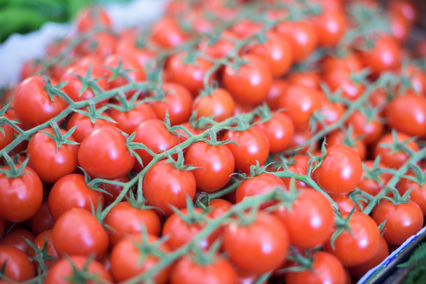 Branch of Cherry tomatoes  - Photo, Image