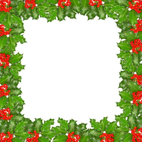 Frame of holly twigs with red berries - Foto, immagini