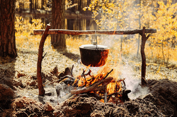 Ateşin yanında kamp. Yemek yemek bir yanıyor. Vahşi kavramı içine yolculuk. - Fotoğraf, Görsel