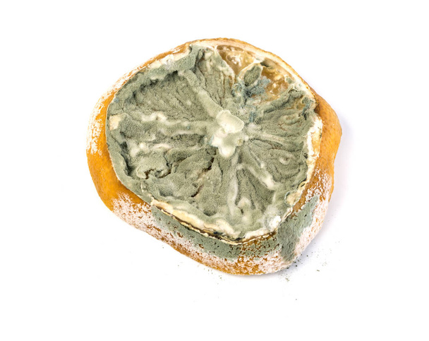  limone isolato su fondo bianco - Foto, immagini
