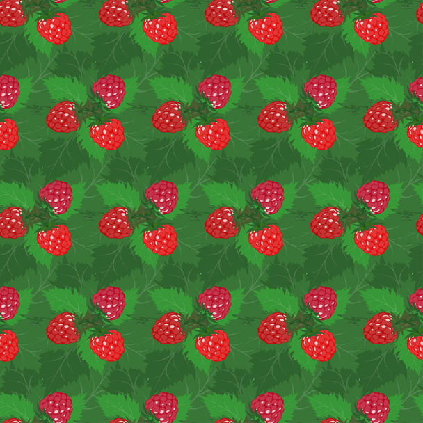 Seamless background with multi-colored raspberries and blackberries. Pattern. - Vettoriali, immagini