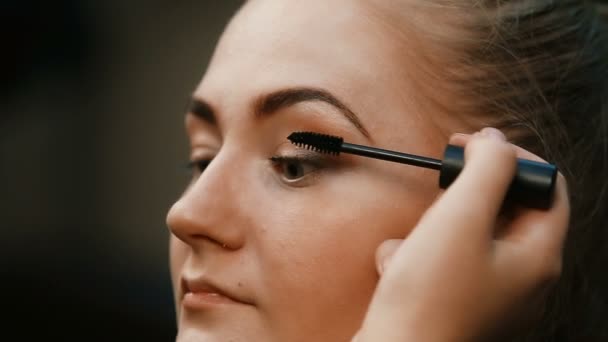 Make-up-Artist macht professionelles Make-up für junge Frau - Filmmaterial, Video