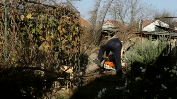 lumberjack cutting trees in the yard - Footage, Video