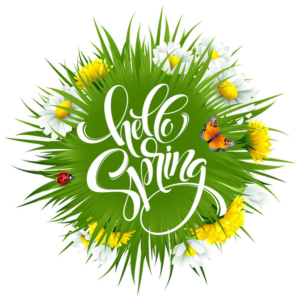 Inscription Hello Spring Hand Lettering on background with flowers. Vector illustration - ベクター画像