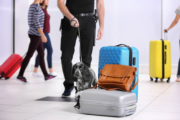 Dog looking for drugs in airport - Foto, immagini