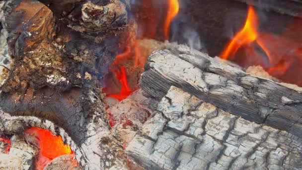Vuur branden in slow motion met hout vallen - Video