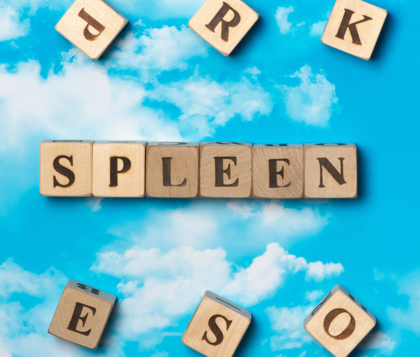 The word Spleen on the sky background - Zdjęcie, obraz