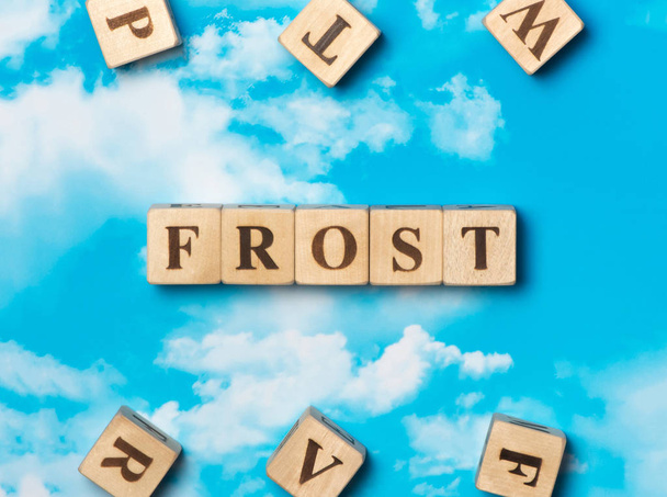 The word Frost on the sky background - Фото, изображение