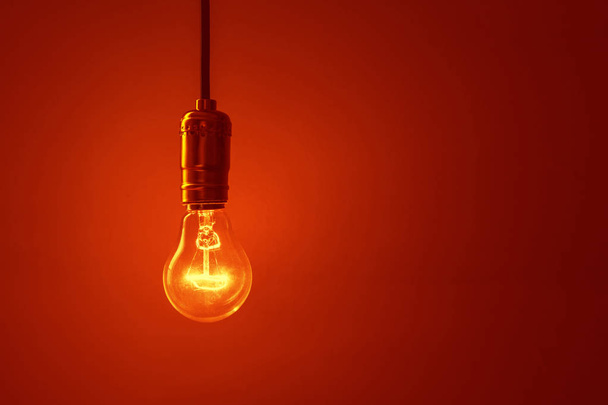 a light bulb - Foto, imagen