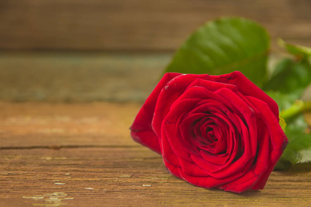 Rood roze bloem op een oud houten tafel - Foto, afbeelding